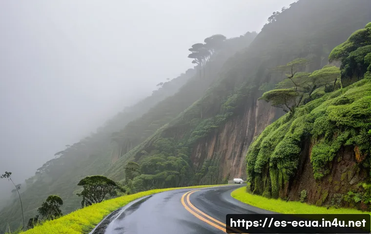 에콰도르의 도로 환경과 교통 법규 - A detailed scene of a mountainous road in the Ecuadorian Andes during a misty rainy day, showing a n...